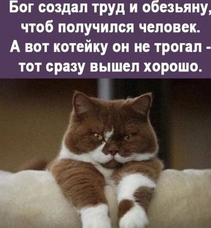 Посмеялся сам - поделись с другом!!!