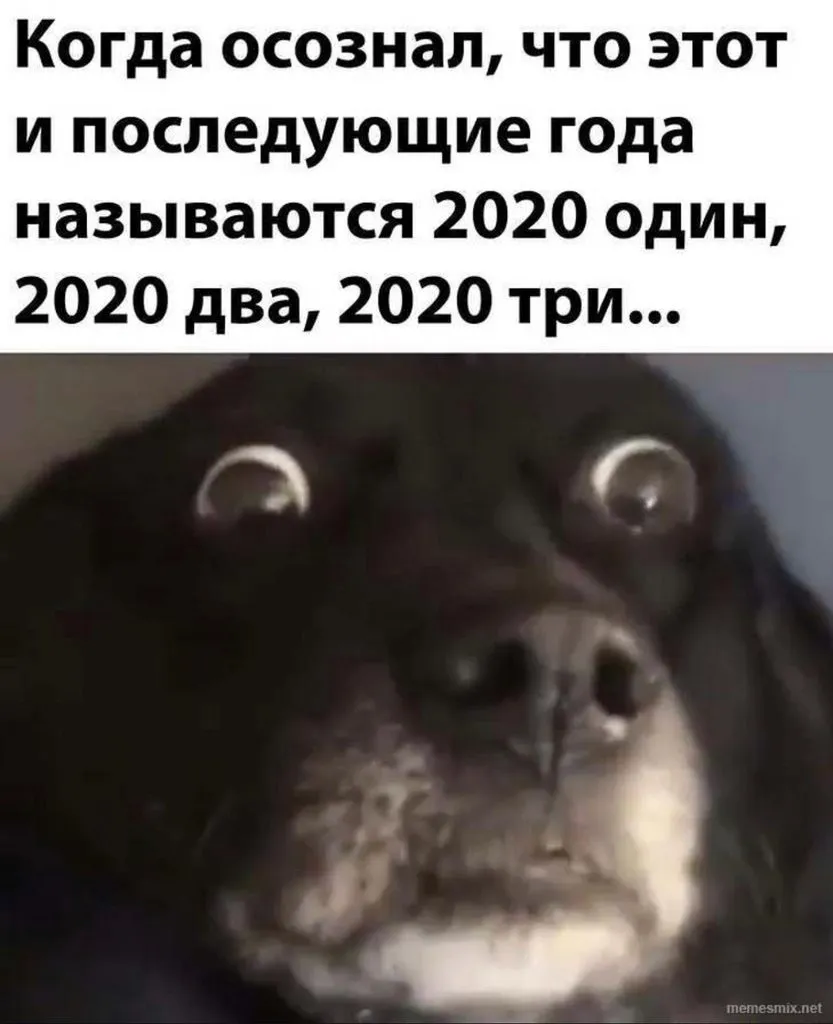 Это был тяжелый год