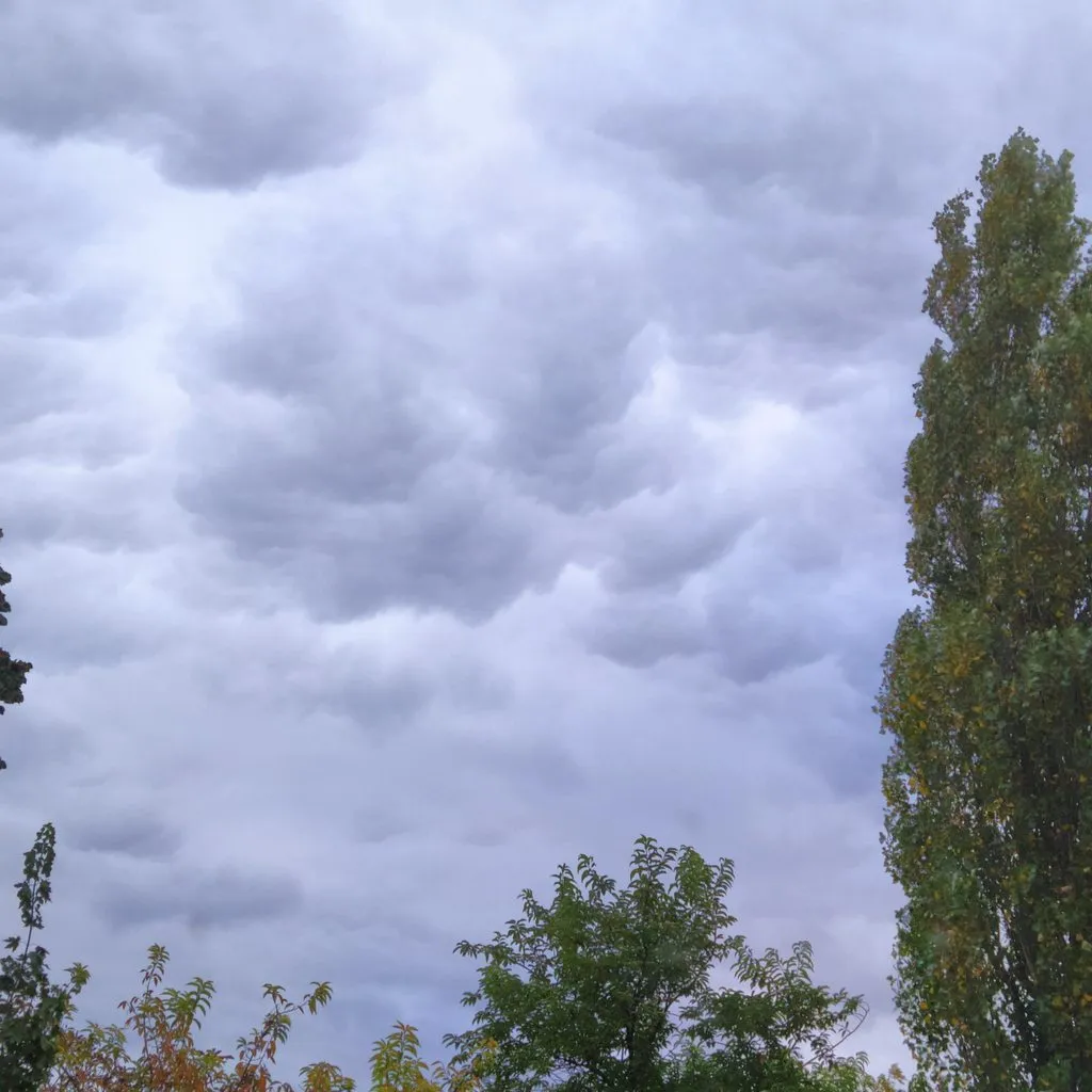 Чайная беседка