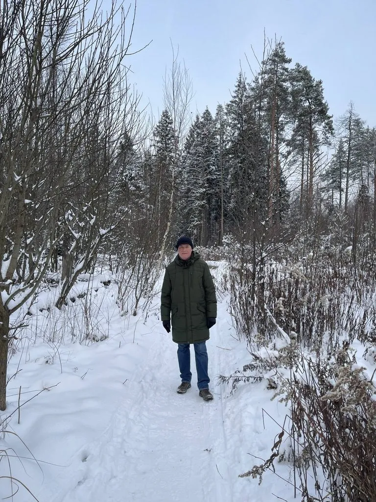 Чайная беседка