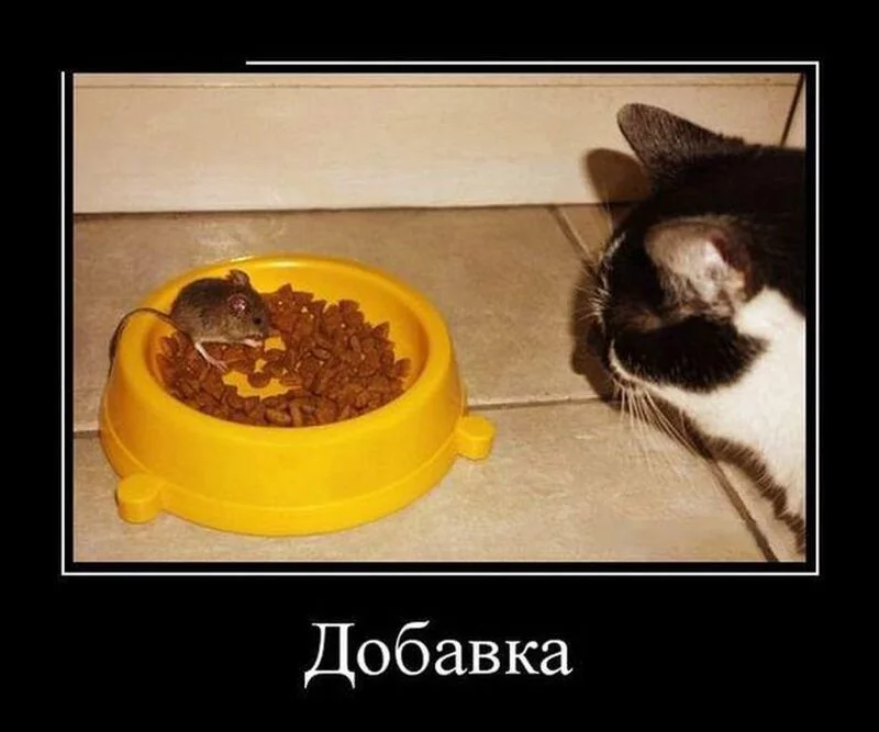 Посмеялся сам - поделись с другом!!!