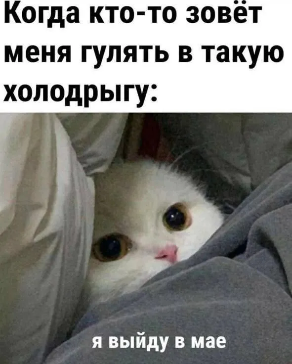 Посмеялся сам - поделись с другом!!!