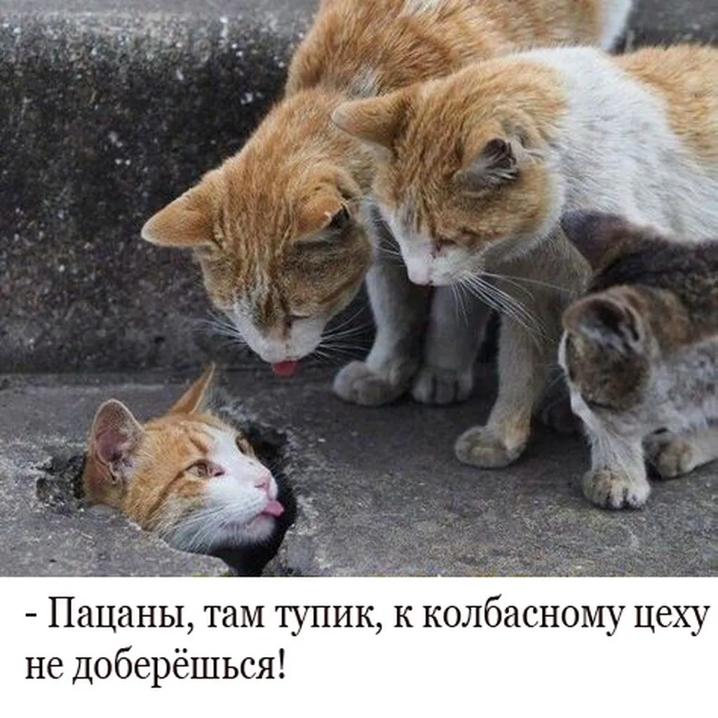 Посмеялся сам - поделись с другом!!!