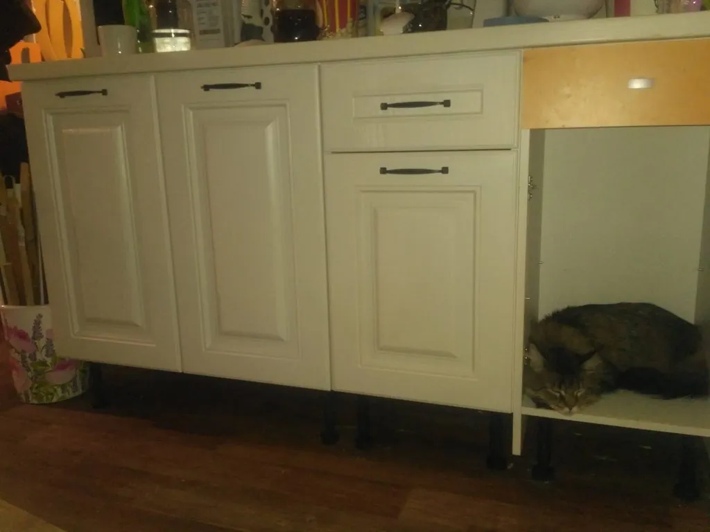 Tapтaлeтки & Ко