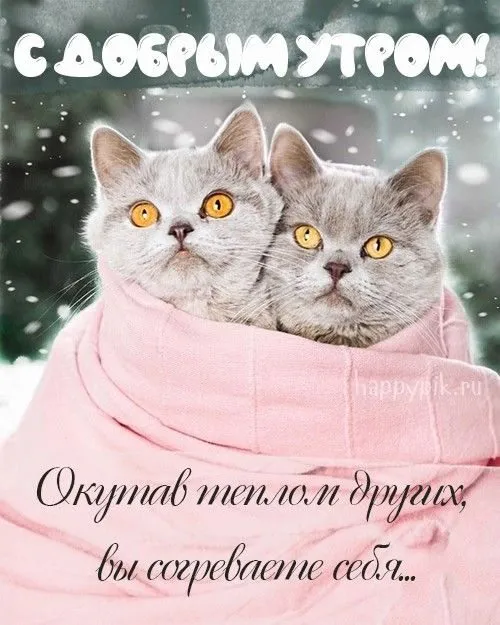 Кафе «У пани Сони»