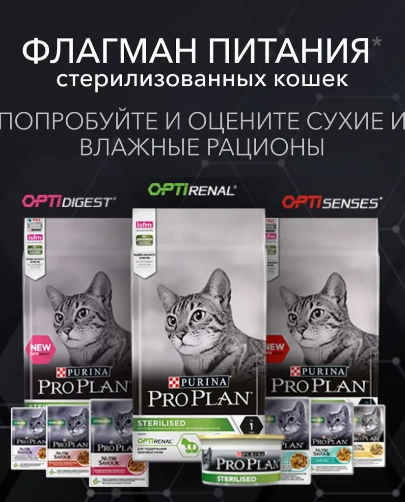 Кто сказал «Мяу»?