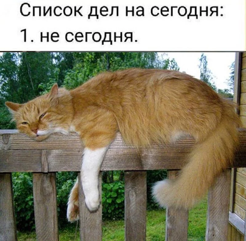 Посмеялся сам - поделись с другом!!!