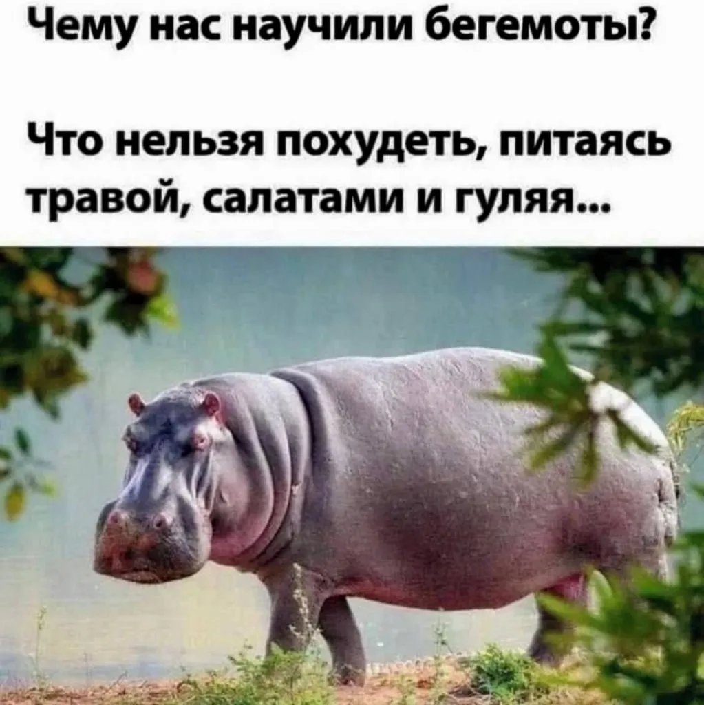 Посмеялся сам - поделись с другом!!!