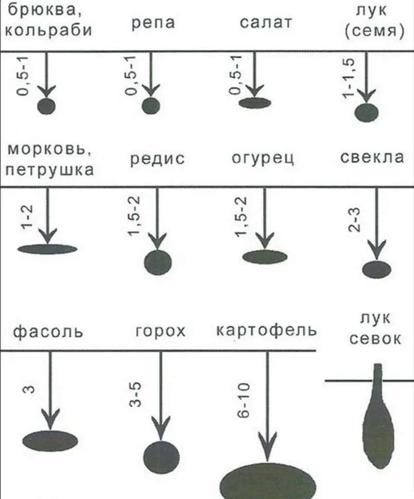 Садово-огородная  инфографика