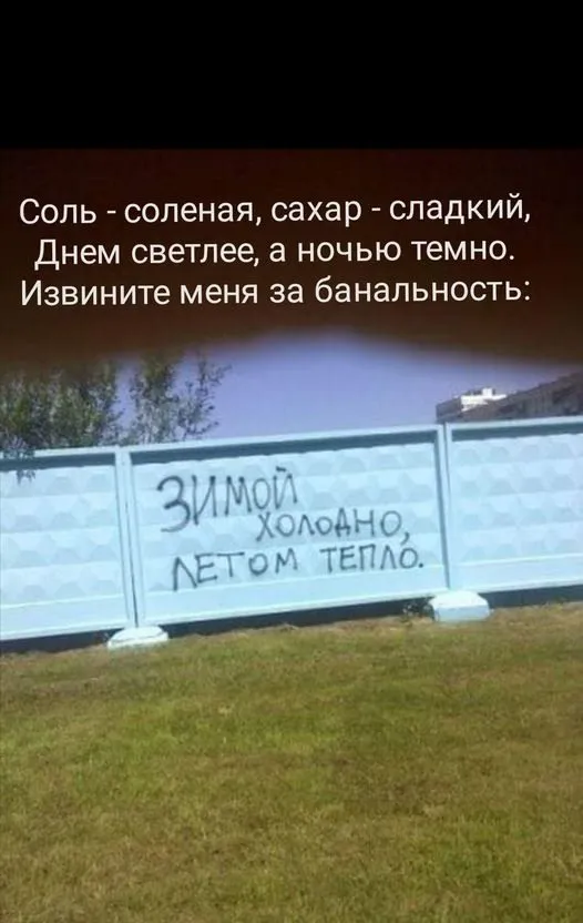 Всюду рифмы