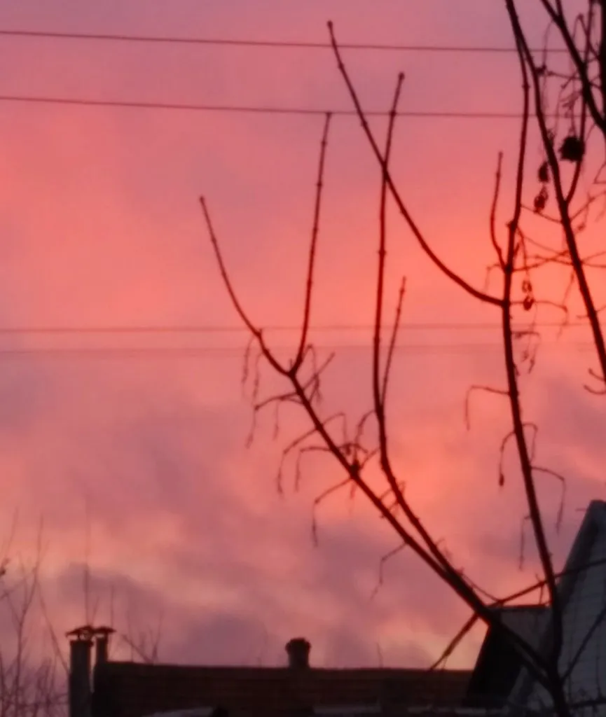 Чайная беседка