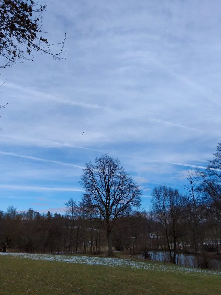 Чайная беседка