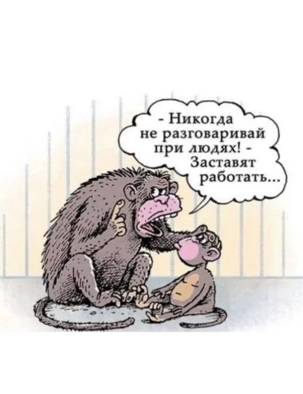 Посмеялся сам - поделись с другом!!!