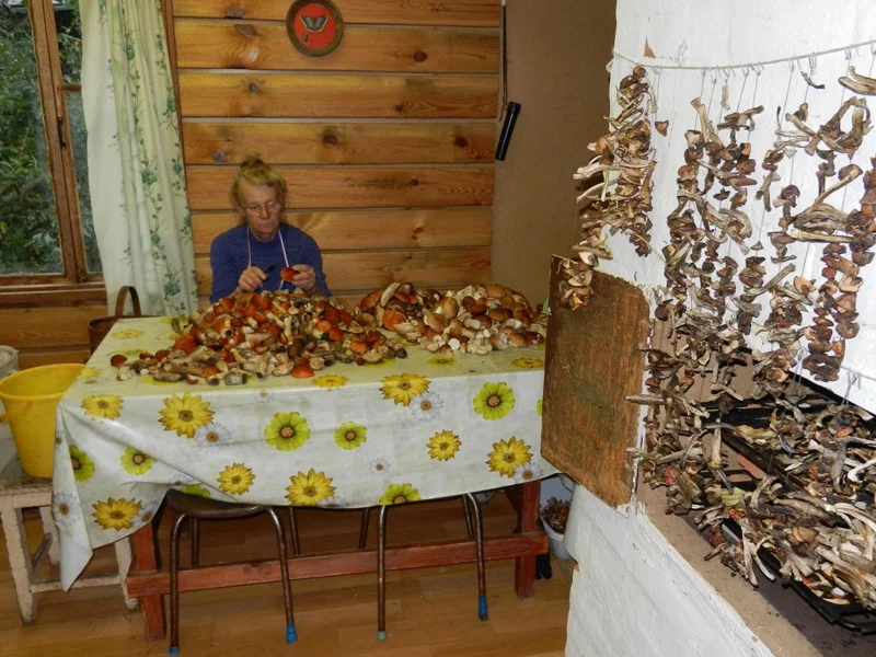 Рыбалка