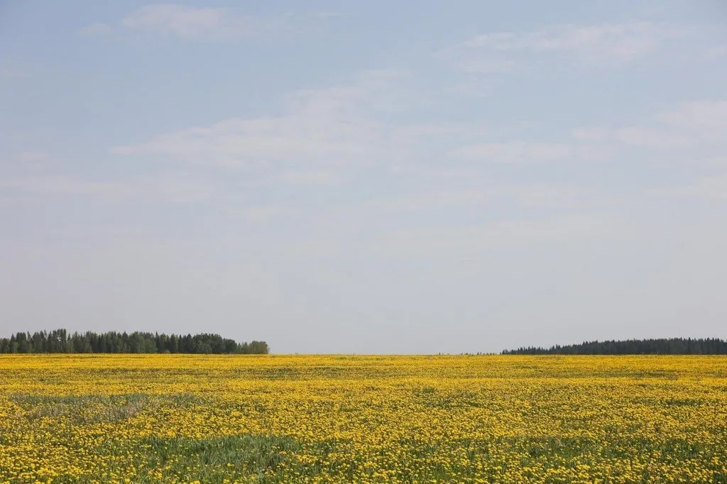 Такое разное небо