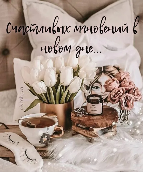 Tapтaлeтки & Ко