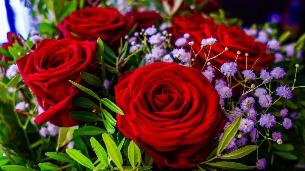 Tapтaлeтки & Ко