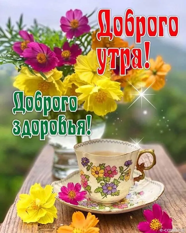 Кафе «У пани Сони»