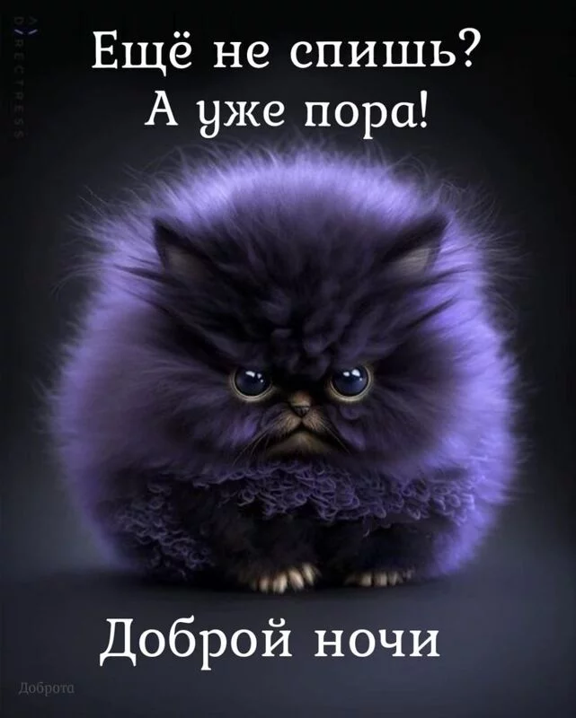 Кафе "У пани Сони"