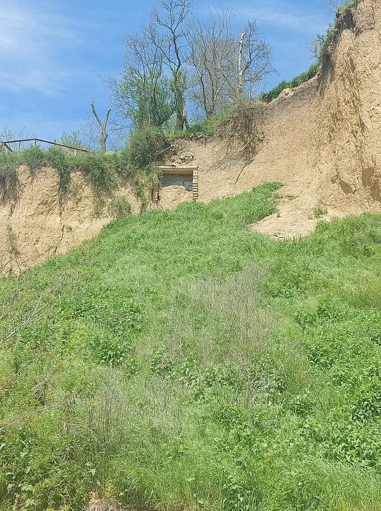 Чайная беседка