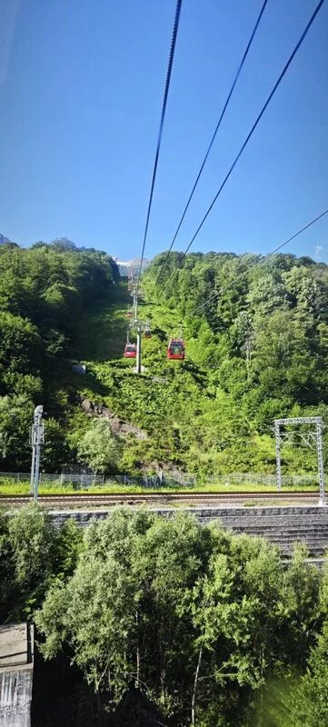 Чайная беседка