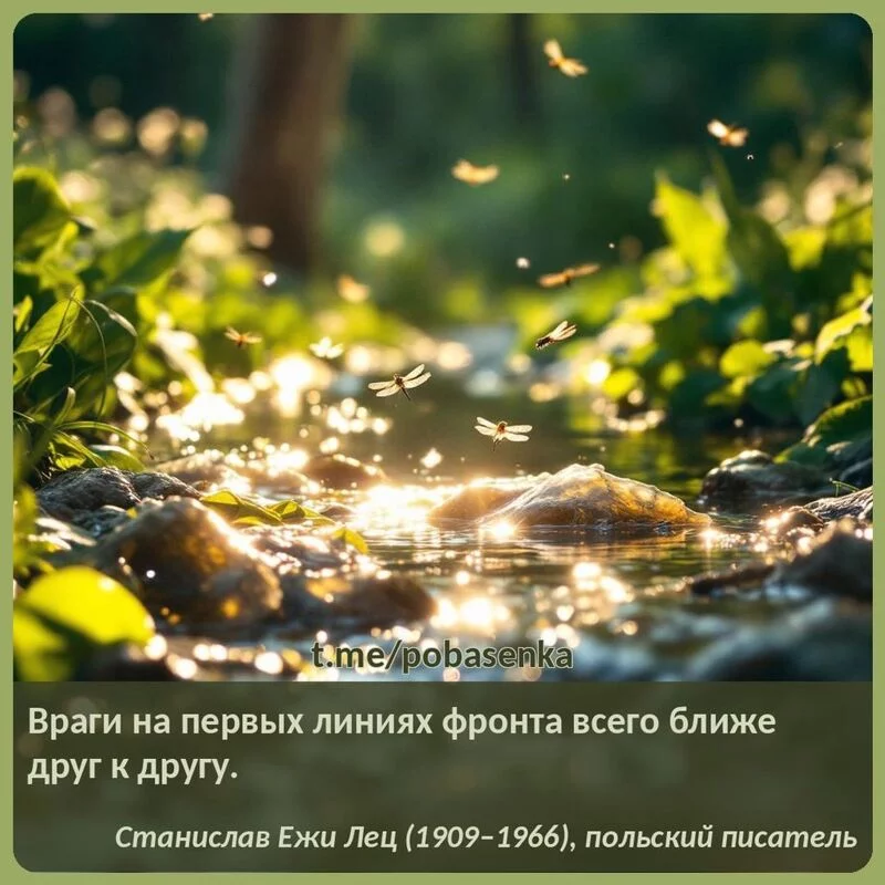 «Враги на первых линиях фронта всего ближе друг к другу...» height="550" width="550"