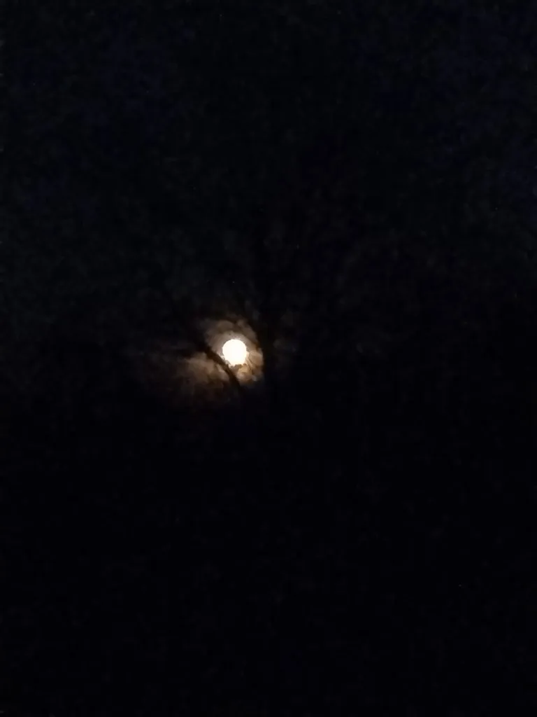 Чайная беседка