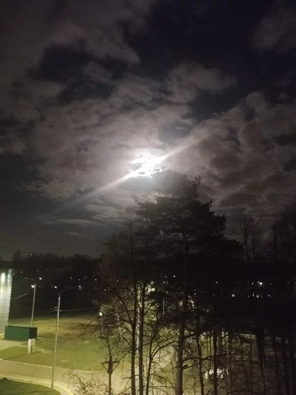 Такое разное небо