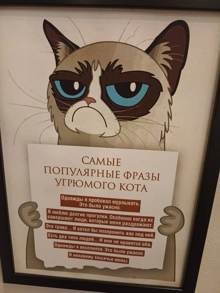 Калининградская область (не только море и янтарь) 