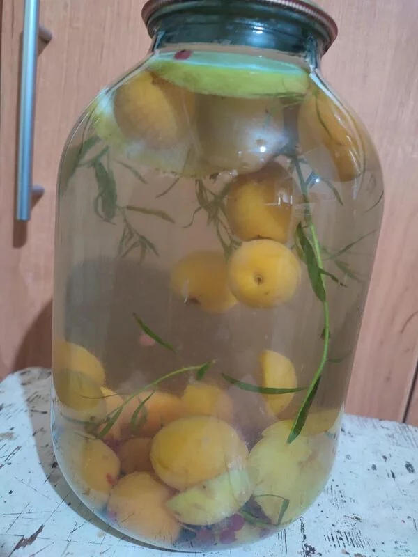 Компот "Тархун" (абрикосы, яблоки, груши, крыжовник)