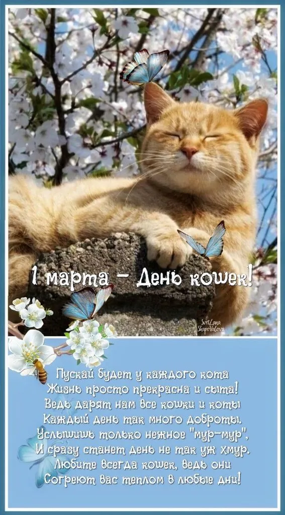 Кафе «У пани Сони»