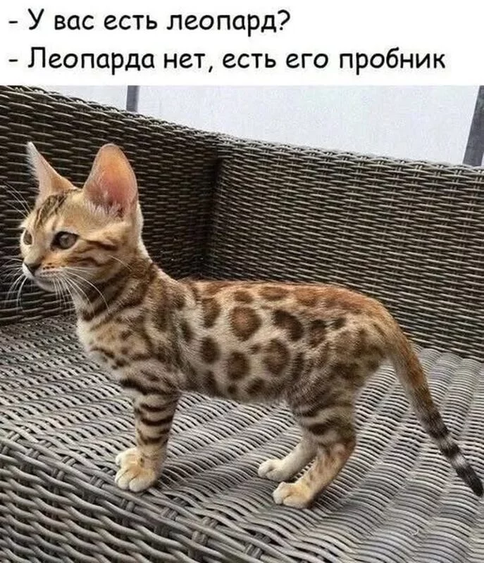 Посмеялся сам - поделись с другом!!!