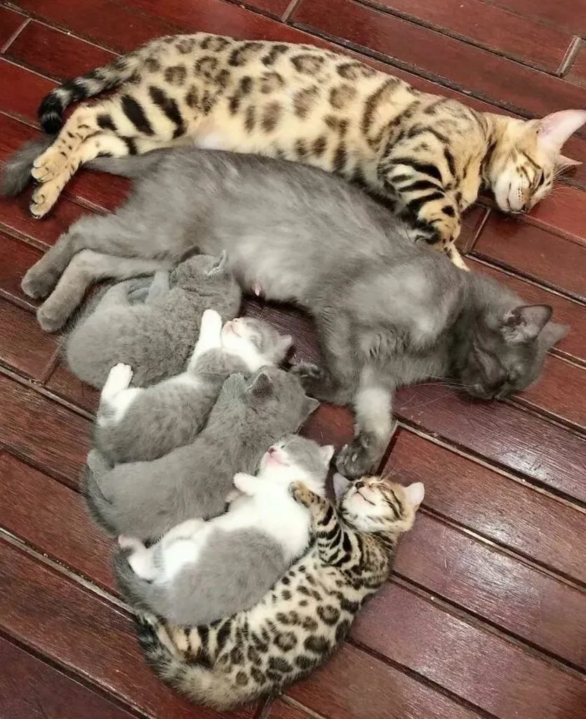 Посмеялся сам - поделись с другом!!!