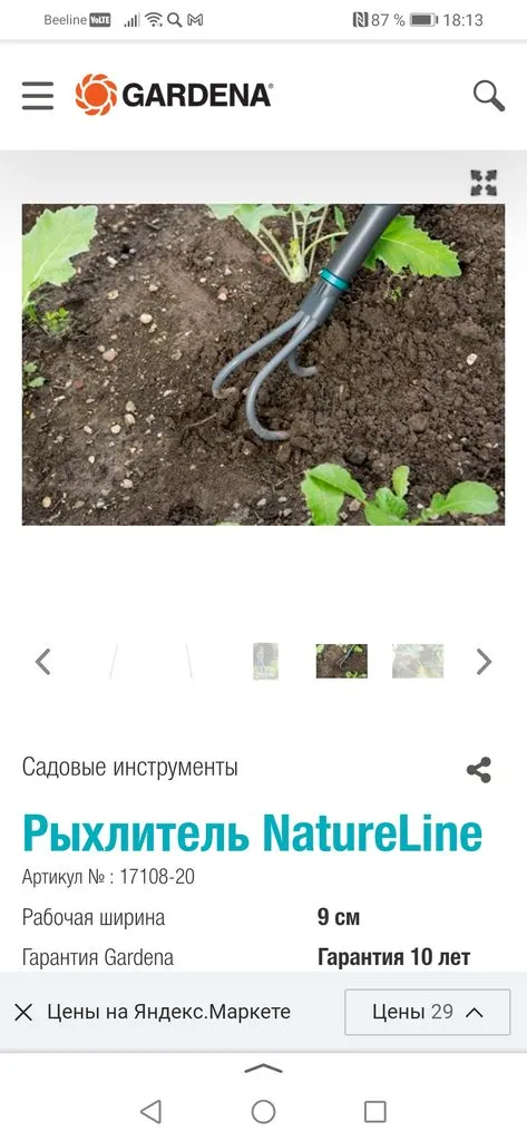 Сажаем, растим, собираем урожай…