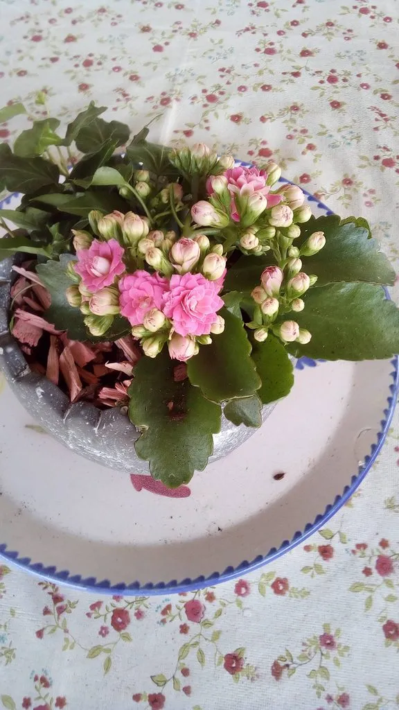 Чайная беседка