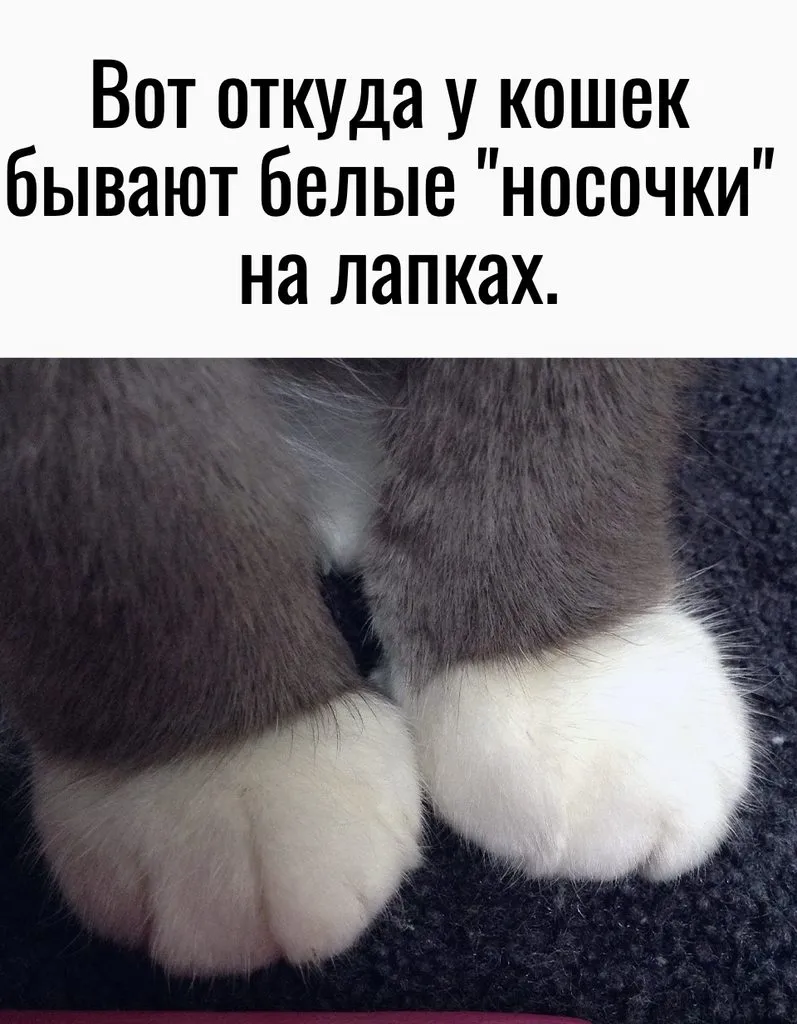 Это интересно!
