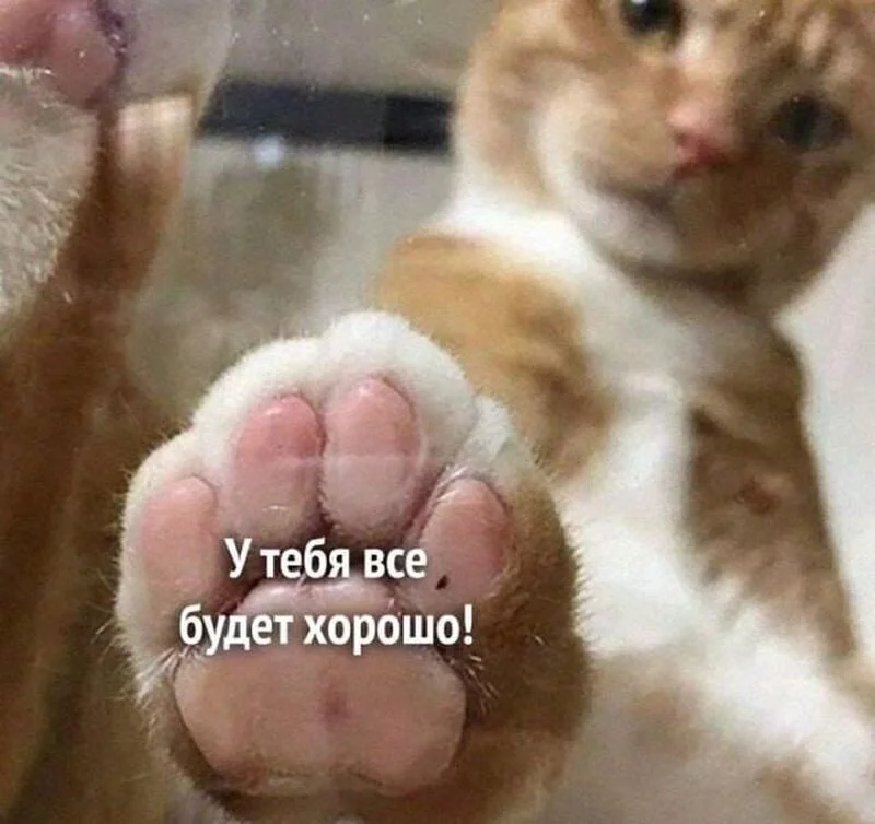 Кафе "У пани Сони"