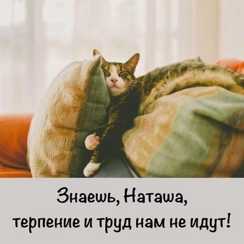 Посмеялся сам - поделись с другом!!!
