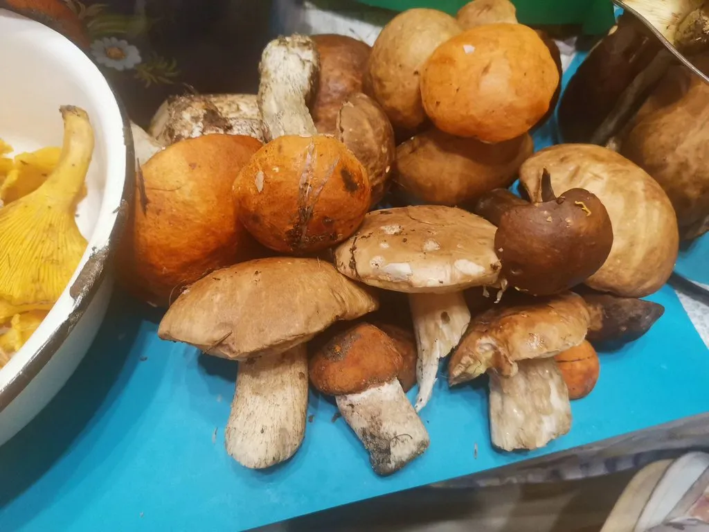 По грибы с лукошком