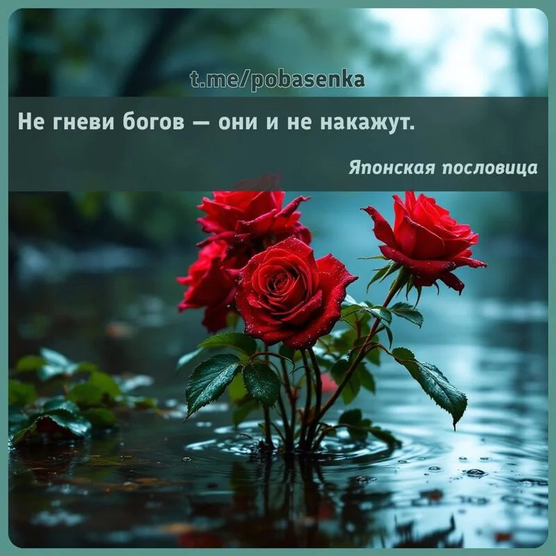 «Не гневи богов — они и не...» height="550" width="550"