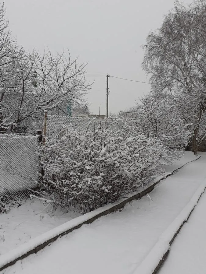 Чайная беседка