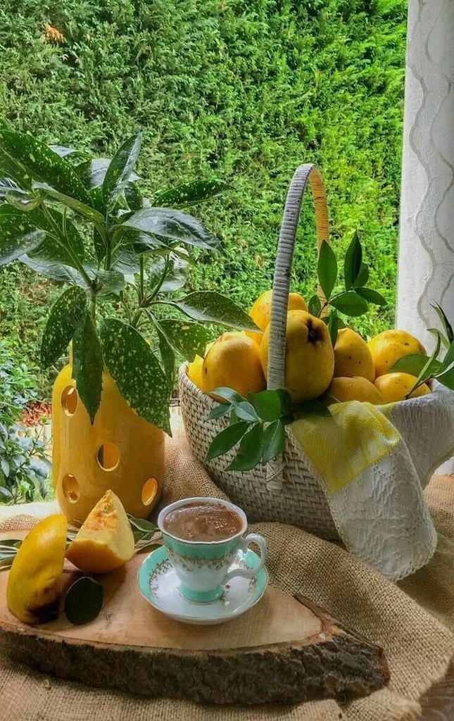 Tapтaлeтки & Ко