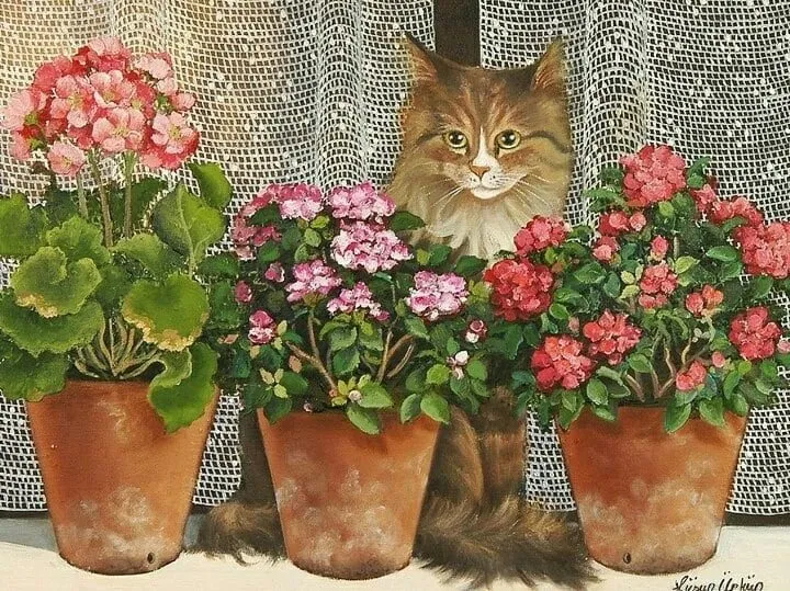 Кафе «У пани Сони»