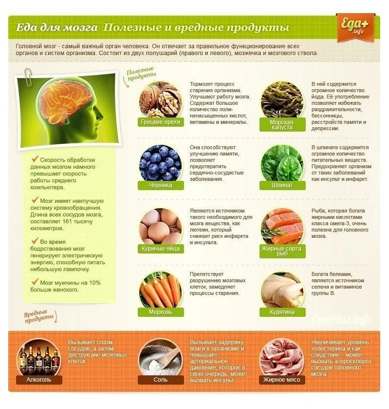 Медицинская инфографика