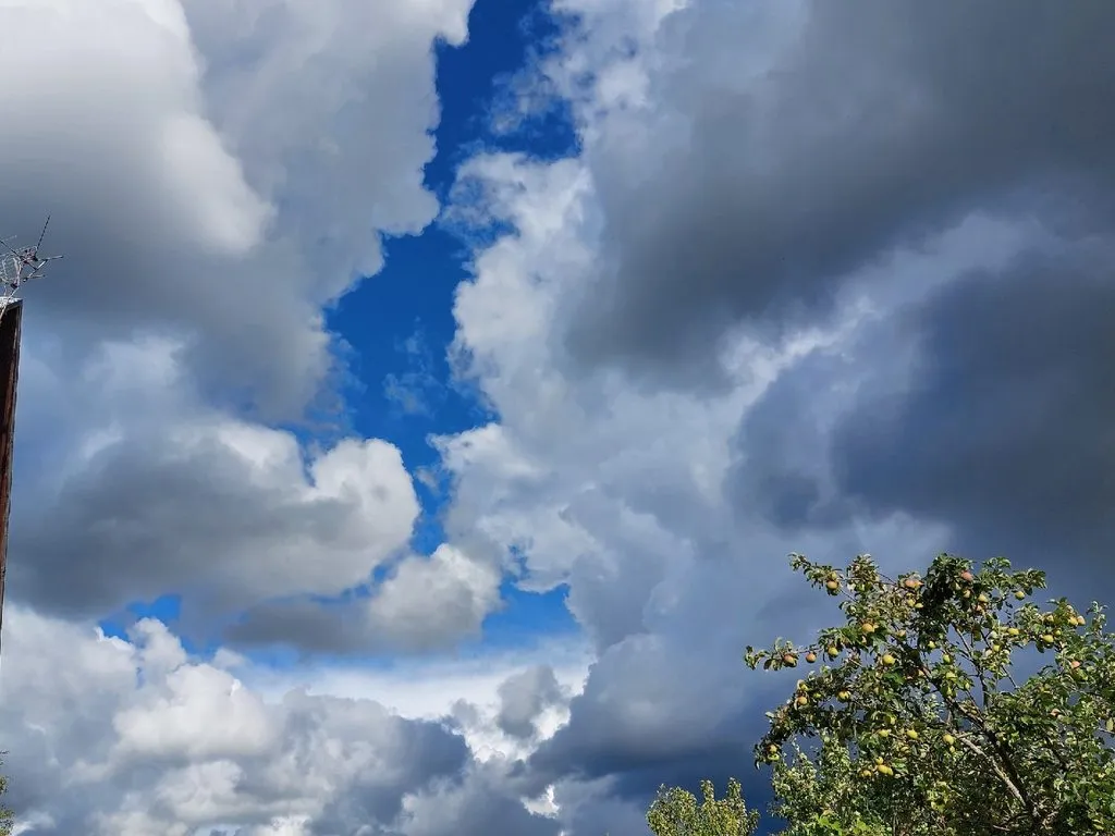 Такое разное небо