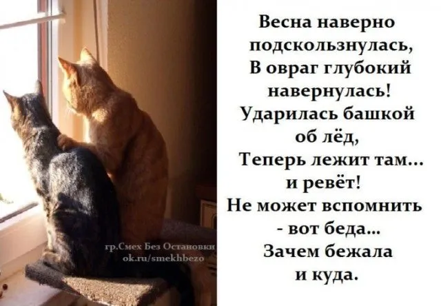 Кафе "У пани Сони"