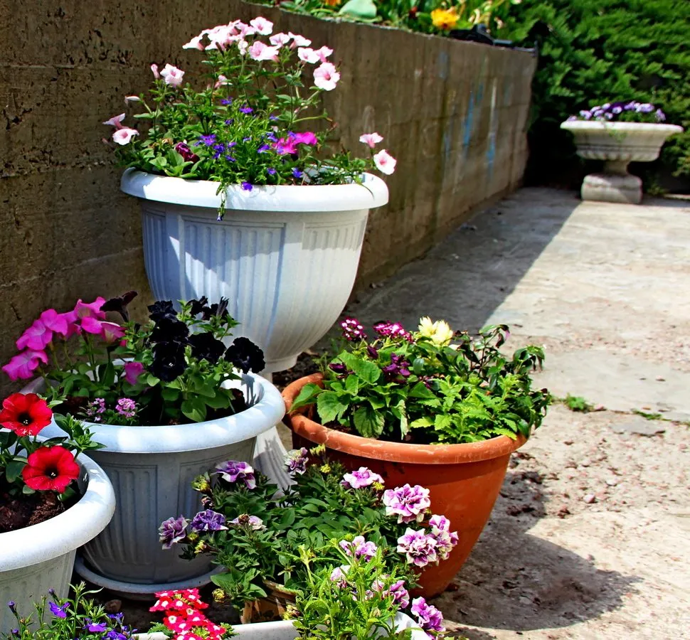 Чайная беседка