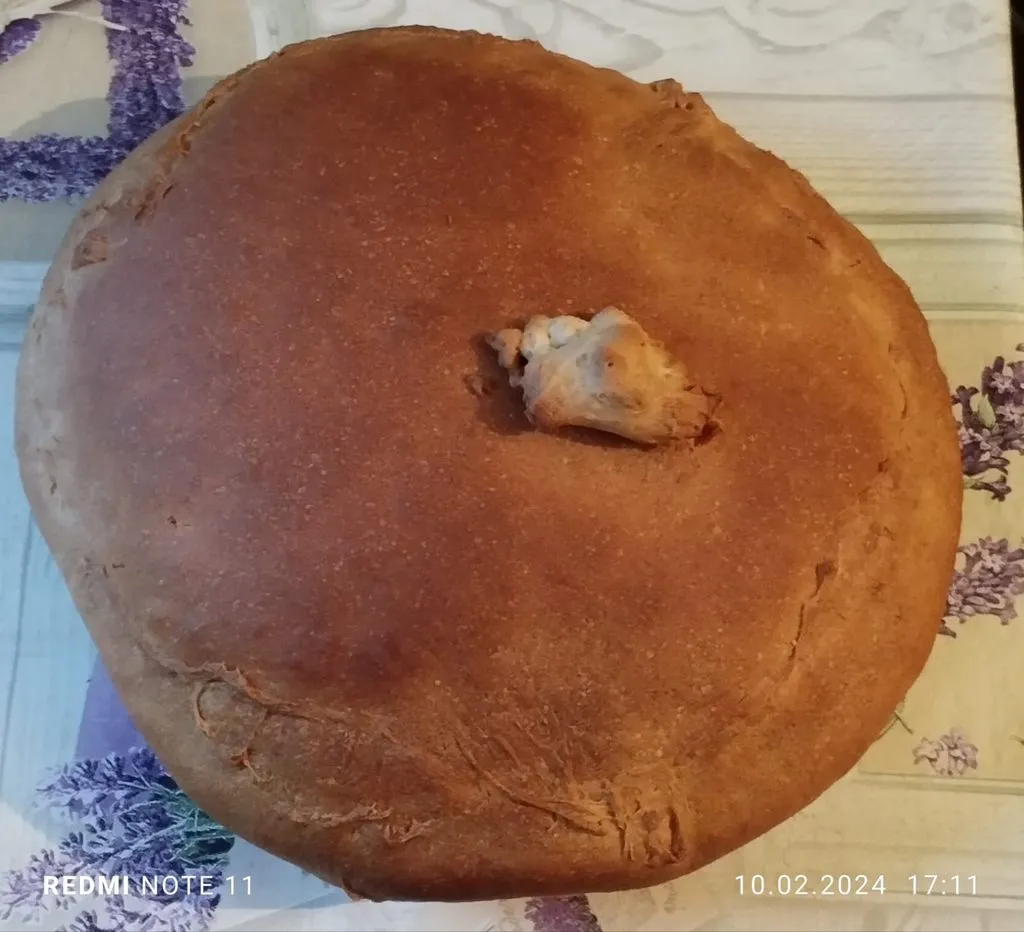Tapтaлeтки & Ко
