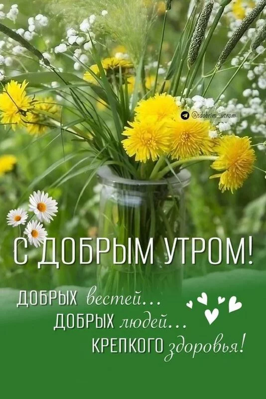 Кафе "У пани Сони"