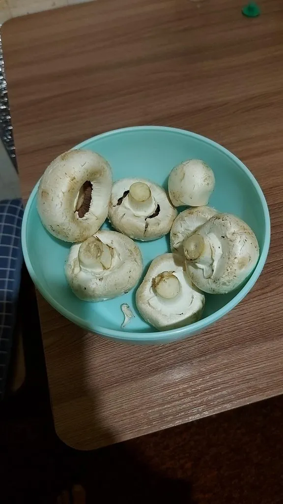 Tapтaлeтки & Ко